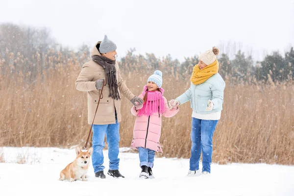Happy Little Girl Her Grandparents Walking Corgi Dog Snowy Winter — Stock Photo, Image