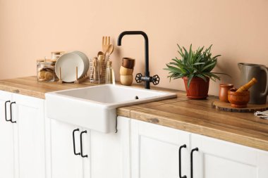 Bej duvarın yanında lavabo, ev bitkisi ve mutfak gereçleri olan tezgahlar