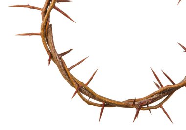 beyaz zemin üzerine dikenli taç