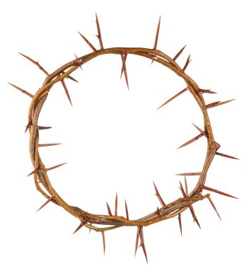 beyaz zemin üzerine dikenli taç