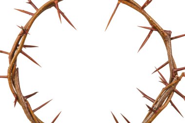 beyaz zemin üzerine dikenli taç