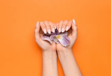 Turuncu arka planda güzel manikürlü ve taç yapraklı kadın elleri.