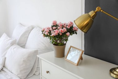 Begonya çiçekleri, boş fotoğraf çerçevesi ve ışık duvarının yanındaki çekmecelerin üzerindeki lamba.