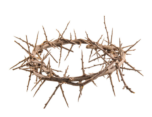 Crown of thorns isolated on white