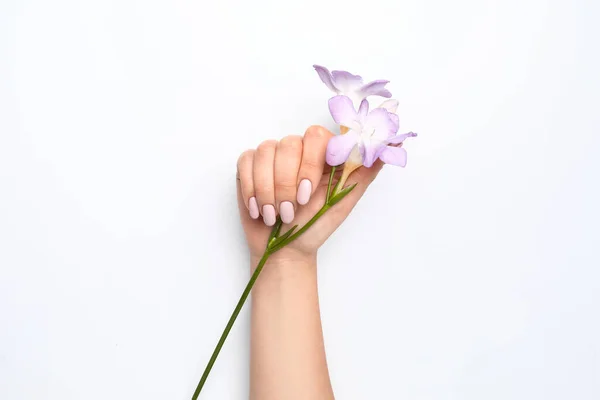Female Hand Trendy Manicure Beautiful Flower White Background — Stock Photo, Image