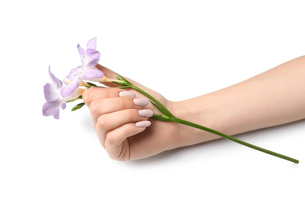 Weibliche Hand Mit Trendiger Maniküre Und Schöner Blume Auf Weißem — Stockfoto