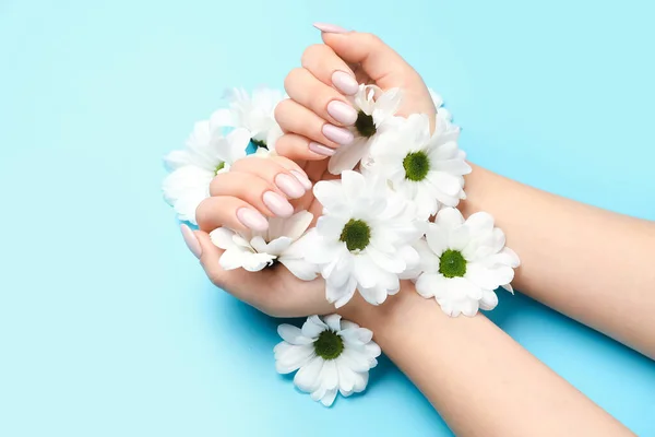 女性的手 有漂亮的指甲和蓝色背景的菊花 — 图库照片
