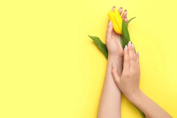 Woman Beautiful Manicure Holding Tulip Yellow Background Closeup — Stock Photo, Image