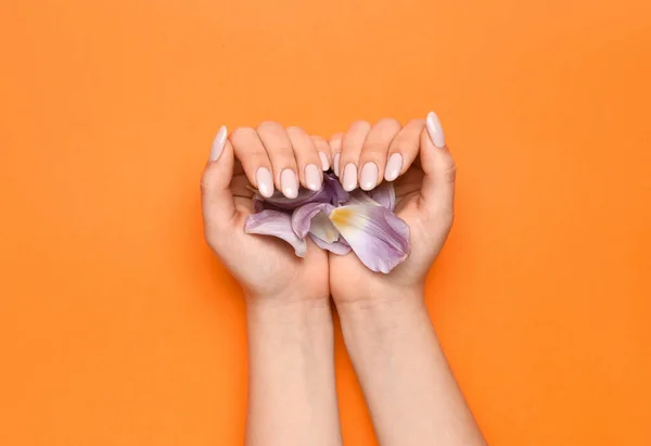 Manos Femeninas Con Hermosa Manicura Pétalos Sobre Fondo Naranja — Foto de Stock