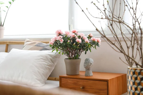 Begonia Flowers Stylish Decor Bedside Table Light Room — Stock Photo, Image