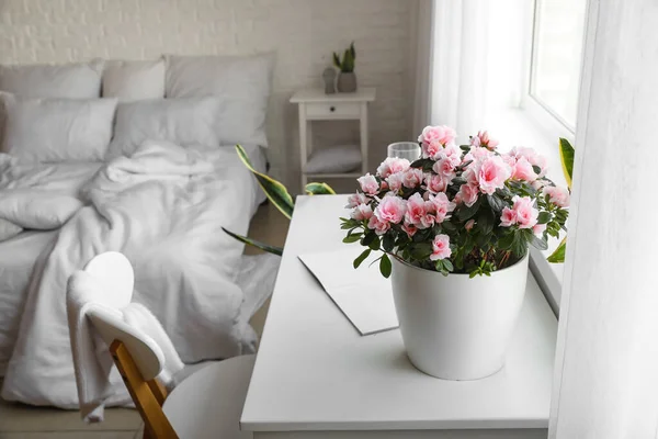 Miejsce Pracy Pięknymi Kwiatami Begonii Jasnej Sypialni — Zdjęcie stockowe