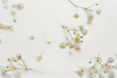 Beyaz sıvıda yüzen bir sürü taze çiçek.