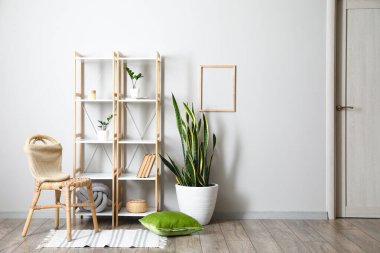 Raflar, sandalye ve saksı ile aydınlatma odasının içinde.