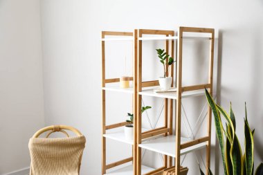 Çiçek saksısı ve sazlık ayırıcılı raf ünitesi ışık duvarının yanında