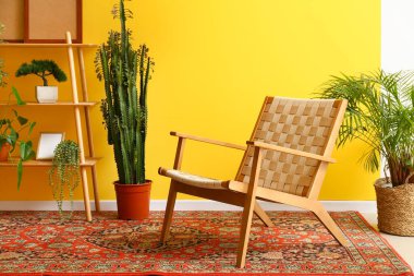 Koltuk, raflar, ev bitkileri ve sarı duvarın yanında klasik halı.