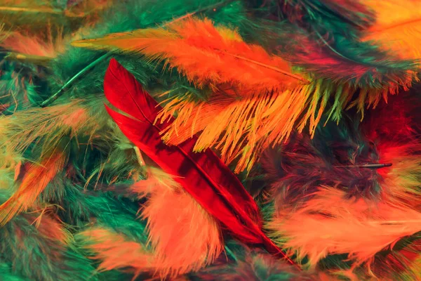 Beautiful Soft Feathers Background — Stock Photo, Image