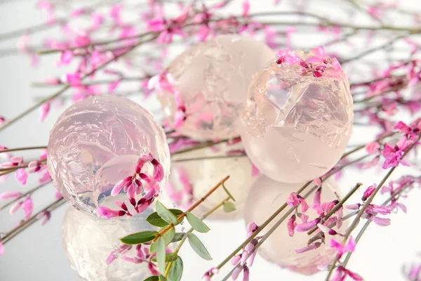 Ice Fresh Pink Flowers Light Background — Stock Photo, Image