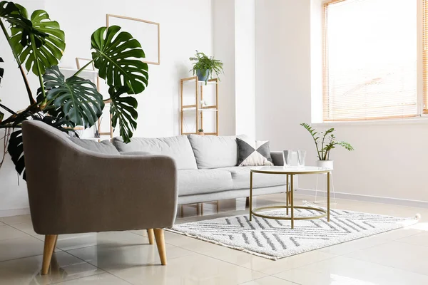 Kacamata Kosong Meja Dekat Sofa Ruang Tamu Modern — Stok Foto