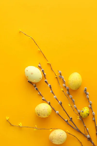 Composition Painted Easter Eggs Pussy Willow Branches Color Background — Photo