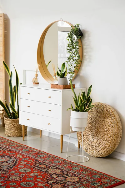 Chest Drawers Houseplants Mirror Pouf Light Wall — Stock Photo, Image