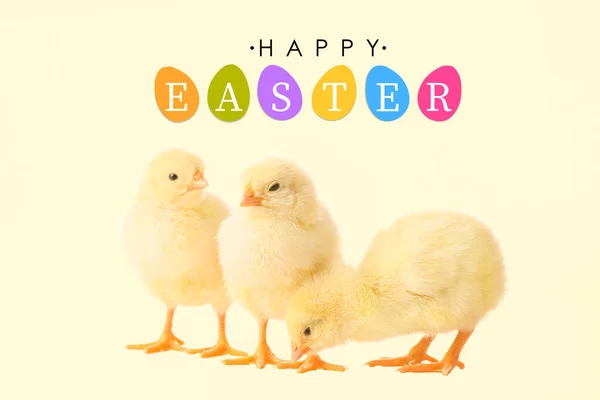 かわいいふわふわの鶏とテキスト Happy Easter Light Background — ストック写真
