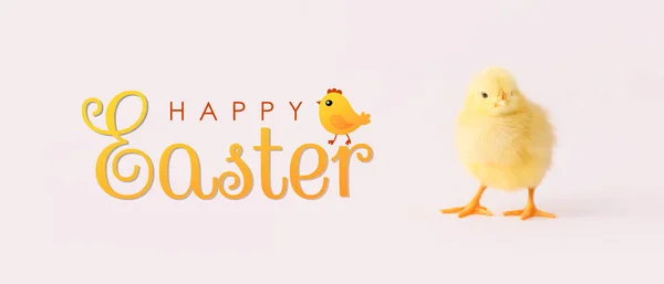 Cute Chicken Text Happy Easter Light Background — Stock Photo, Image