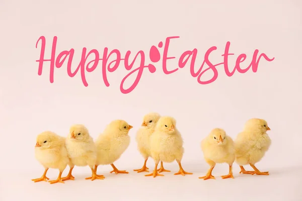 多くのかわいい鶏とテキスト Happy Easter Light Background — ストック写真