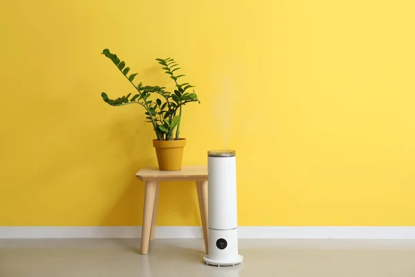Moderner Luftbefeuchter Und Tisch Mit Zimmerpflanze Der Nähe Der Farbwand — Stockfoto