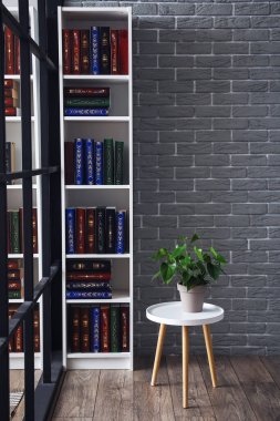 Ev kütüphanesinde kitapları olan raf ünitesi