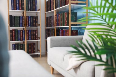 Ev kütüphanesinde kitapları olan modern raf ünitesi