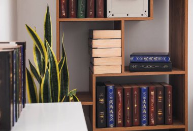 Modern oda içi kitaplık