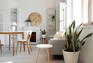 Rahat bir kanepe, yemek masası ve şık odaların içindeki raf üniteleri.