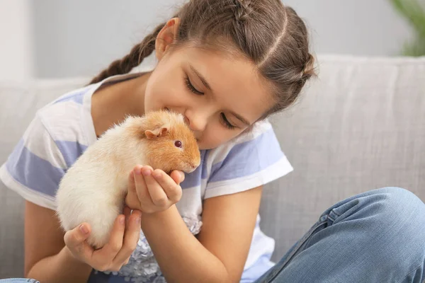 Niña Con Lindo Conejillo Indias Sofá — Foto de Stock