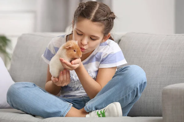 Niña Con Lindo Conejillo Indias Sofá — Foto de Stock