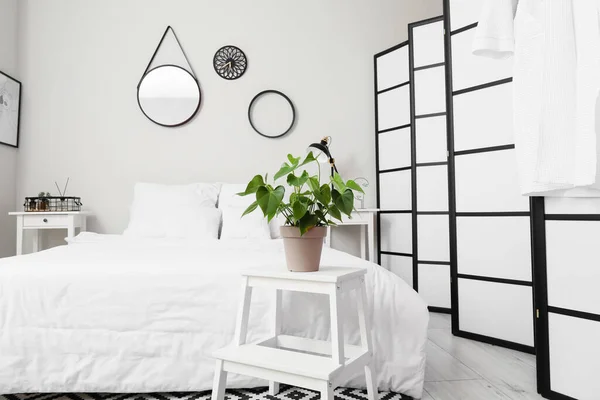 Houseplant on step stool in light bedroom