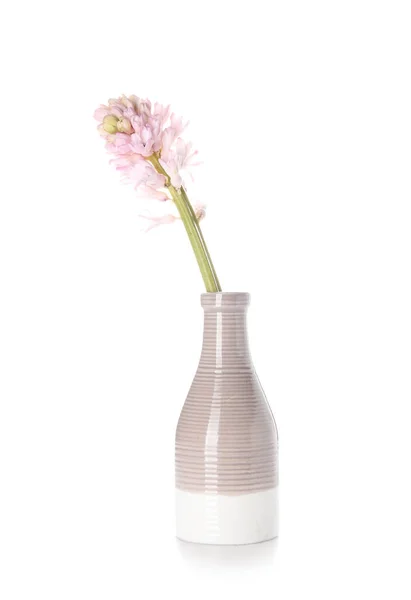 Vase Gorgeous Hyacinth Flowers White Background — Stock Photo, Image