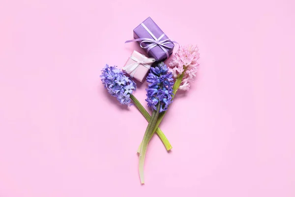 Krásné Hyacint Květiny Dárkové Krabice Růžovém Pozadí — Stock fotografie