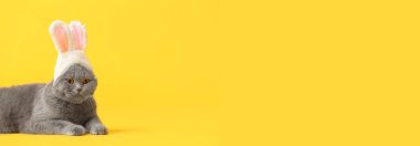 Sarı arka planda tavşan kulaklı şirin bir kedi ve mesaj için yeri var. Paskalya kutlaması