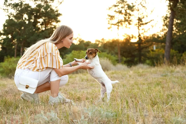 Giovane Donna Con Carino Jack Russel Terrier Nel Parco — Foto Stock