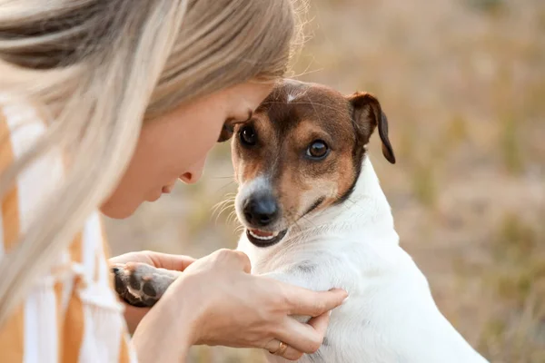 Young Woman Cute Jack Russel Terrier Park Closeup — Stock Photo, Image