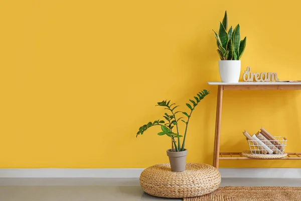 Pouf Mesa Com Plantas Sala Livros Perto Parede Cor — Fotografia de Stock