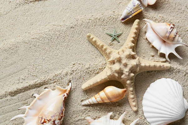 Many Different Sea Shells Starfish Beach Sand Top View — Stock Photo, Image