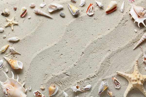 浜砂の上に様々な貝殻やヒトデで作られたフレーム — ストック写真