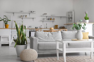 Rahat bir kanepe, cam masa, ev bitkisi ve pouf şık mutfak iç dekorasyonu.