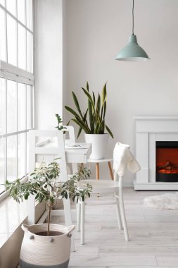 Konforlu işyeri ve pencere kenarındaki iç aydınlatma odasındaki ev bitkisi