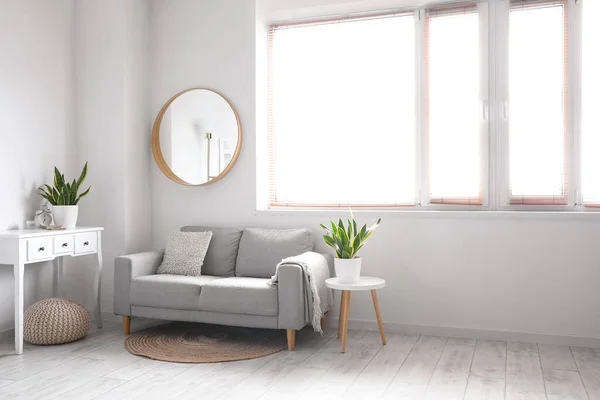 Canapé Confortable Tables Avec Plantes Intérieur Miroir Sur Mur Blanc — Photo