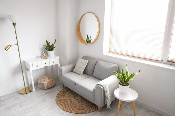 Sofa Tables Houseplants White Wall Living Room Interior — Stock Photo, Image