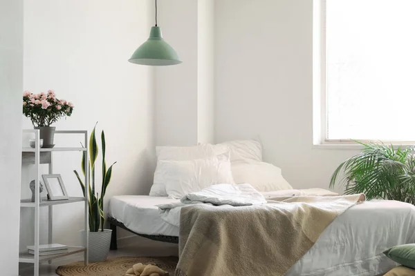 Comfortabel Bed Plank Kamerplanten Buurt Van Lichte Wand Het Interieur — Stockfoto