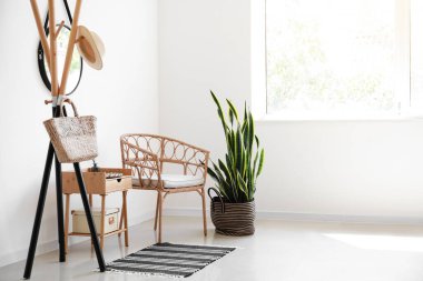 Rack, sandalye ve ev bitkisi odanın iç tarafındaki ışık duvarının yanında.