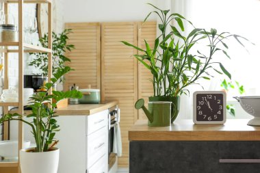 Saat, konserve sulama kutusu ve mutfak bitkileriyle tezgah kurun.